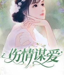 程意绵陆聿北小说免费阅读
