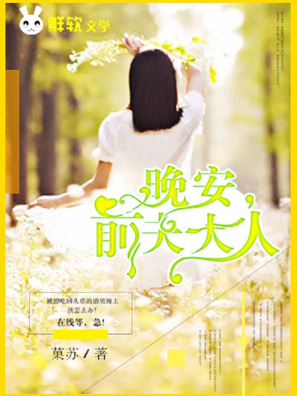小说沐青何子淮