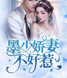 主角是傅司宴的小说