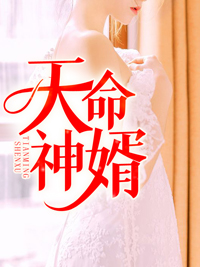 天命神婿全部免费观看