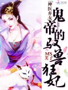 傅爷的满级小可爱打架超凶作者