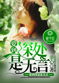 沈初和薄暮年的小说名