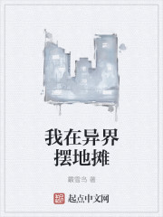 缅甸赌石小说