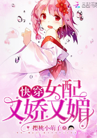 安初夏陆景瑜大结局