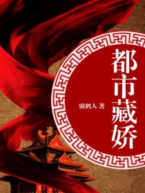 以文载道小说