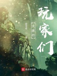带着玩家在大唐搞基建的日子9