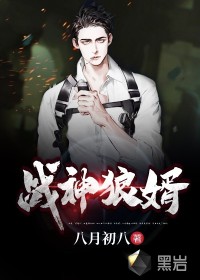战神狼婿笔趣网