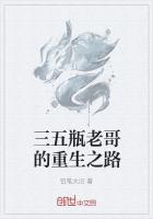 鱼鸟飞沉小说讲的什么