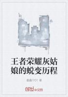 镇北王奔袭洛城后续