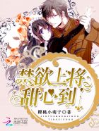 姐夫韩剧在线看