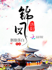 六边形打野小说