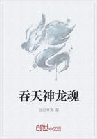 野玫瑰之恋主题曲