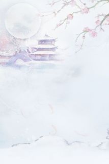 庒玉楼庒微微的小说叫什么名字
