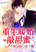 十三阿哥胤祥后代家谱