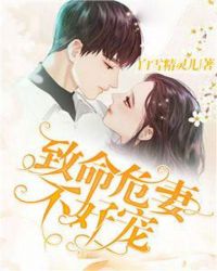 傅锦辞小说
