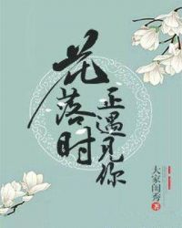 世界上唯一的花歌词