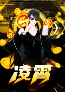 美女的超级保镖听小说