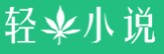 少爷的小丫头言情