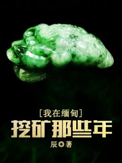 当我把美貌值拉满免费阅读