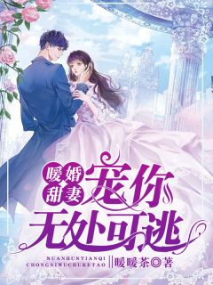 婚姻小说甜萤