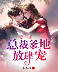 总栽撩妻宝贝娶一送一百度