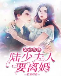 婚婚欲睡总裁前夫太难缠小说