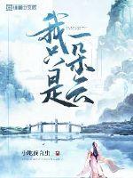 我是一朵云歌曲