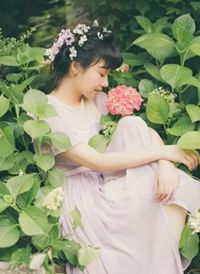暴君电影美国