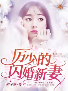 皇上贵妃